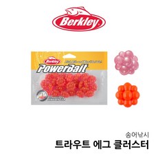 버클리 트라우트에그클러스터 25개입 대용량 송어 산천어 낚시 얼음낚시용품