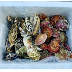 석화특선