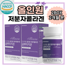 올인원피시