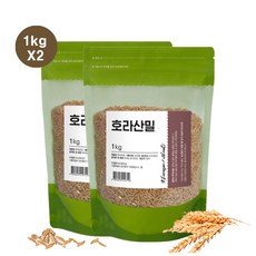 이집트쌀 호라산밀 고대밀, 2kg(1kg X 2팩)