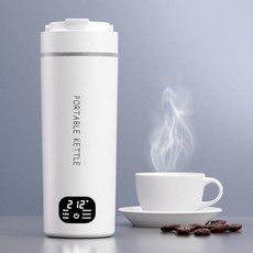 HOWDIANQY Electric Kettle for Travel Small Portable Tea Hot Water Boiler Mini Coffee Water Kettle316, 1) 450ML