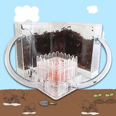 개미집 (Ant House) 개미사육상자 (개미사육통+개미전용 흙+개미젤리1개)