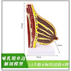 d7c7f83973220d8efdfe8dd1ac95a31a7f8b217932a12e1b3e805f3dde99.jpg