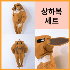 포켓몬코스튬