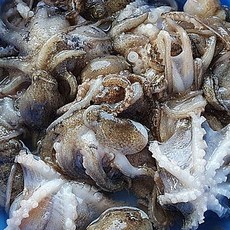 추천4서천쭈꾸미