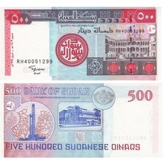 실버그래뉼500