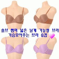 비너스솔브보정속옷