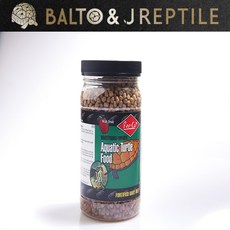 레이저백거북이