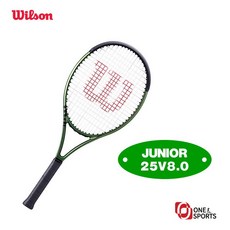 윌슨블레이드v8
