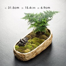 돌석재수반