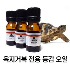 UPPER 육지거북 등갑 오일, 1개
