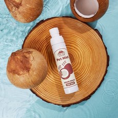 프롬한라 강아지 코코넛 펫 미스트 1개 100ml minu03272*1201444hR, 본상품선택