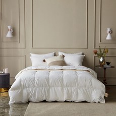 소프라움사계절구스킹