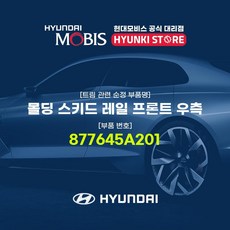 현대모비스 몰딩 스키드 레일 프론트 우측 (877645A201), 1개