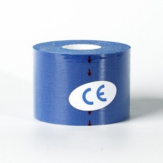 뉴만kinesiology구매정보