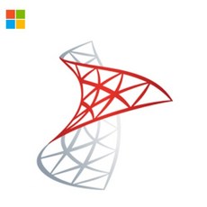 SQL서버 Server Standard 2022 교육기관용 CAL미포함