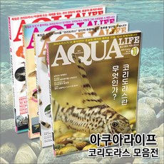 아쿠아라이프 코리도라스, 16년2월
