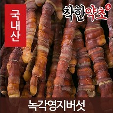 녹이단