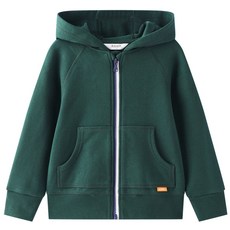 (관부가세포함) 남자 비니 Anne children's boy cotton hooded jacket 2020 spring and autumn new big boy foreign sports knit-610241696587