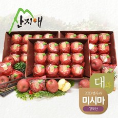 [산지애]씻어나온 미시마 사과 9kg 24~36과 (3kg*3박스 대과), 단품