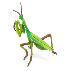 거북이캐릭터