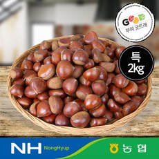 우리네농산물 굿뜨래 2020년 농협 햇밤 특사이즈 2kg / 4kg, 특2kg
