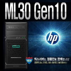 ml30gen10