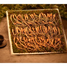 [산앤삼/실속형] 강원도 토종 못난이 산양삼, 1개, 60g