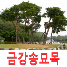 0930e676e44740177851f3e8d89f5f5a44efae2f6ef50abdacabbec1df00.png