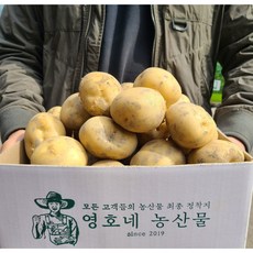 아침꿀감자