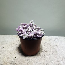 99428e7f0a15c5b9645d9fa4232f0d44257ab7b7244048951e555786ecb6.jpg