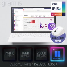 LG전자 15ZD95Q-GX56K [이벤트 한컴오피스 증정], 15Z90Q-G.AA5NK, WIN11 Pro, 16GB, 256GB, 코어i5, 화이트
