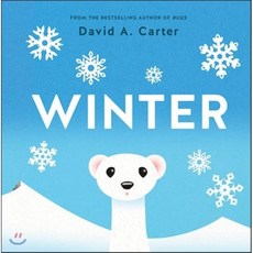 Winter: A Pop-up Book, Harry N Abrams Inc