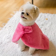 솔티핫티