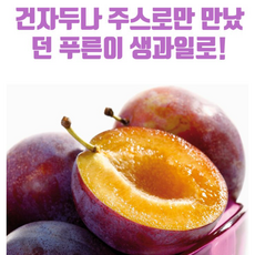 [생과일 푸룬(Prune)을 산지직송으로] 국내산생푸룬 푸룬 서양자두, 1박스, 1kg(25개 내외) - 생푸룬