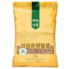 해담산들 브라운 렌틸콩, 1개