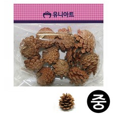천연펠트지