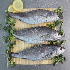 친환경팔도 [산지직송] 여수 반건조 민어 3마리 6마리 생선>>민어, 250g 내외, 6개