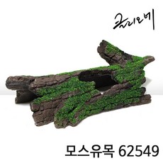 클리오네 모스유목 62549 / 파충류용품 도마뱀은신처 육지거북 수족관 반수생 장식 유목