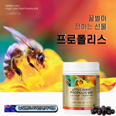 뉴질랜드프로폴리스 청정 그린 프로폴리스 PROPOLIS 600mgx365 프로폴리스원액 담은 프로폴리스캡슐 필름형프로폴리스 프로폴리스리퀴드 보다 먹기 편한 호주프로폴리스 브라질프로폴리스 호주산프로폴리스 뉴질랜드 프로폴리스추천 프로폴리스2000 플로폴리스, 1box, New Zealand PROPOLIS