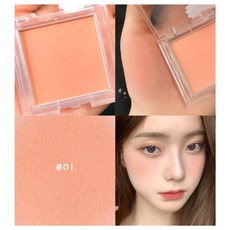 메이크업 아이 브러쉬세트 피치 레드 루즈 블러쉬 팔레트 샤시드 오래 지속되는 치크 블러셔 헤어 파워