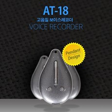 세이픈 초소형 목걸이형녹음기 AT-18 (8GB) 미니녹음기 디지털녹음기 몰래녹음기 비밀녹음기 차량용녹음기 초소형녹음기, 단일