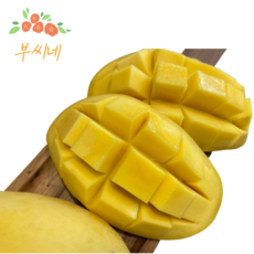 [부씨네] 항공직송 새콤달콤 프리미엄 무지개 망고 mango 2kg 4kg, 1박스, 4kg(8-12과)