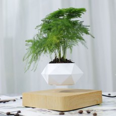 홈 액세서리 자기 부상 화분 장식 인테리어소품샵, 황색