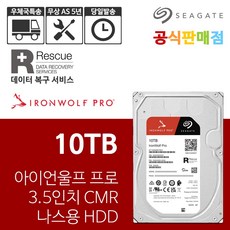 씨게이트 아이언울프 프로 10TB ST10000NT001 NAS 하드디스크 - 아이언울프프로