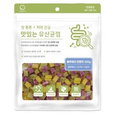 굿데이 맛있는 유산균껌 강아지 간식, 블루베리혼합, 3개