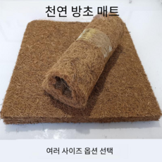 파충류 매트 야자나무 거북이 도마뱀 케이지 방초, 40x30cm, 40x30cm