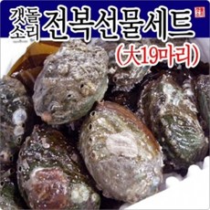 직접키운 완도참전복 선물세트 大 19마리 완도