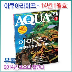 아쿠아라이프 2014년 1월호