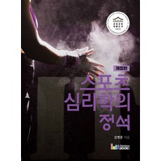 스포츠심리학의 정석, 레인보우북스, 김병준